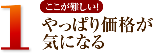 1 やっぱり価格が気になる。