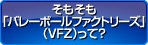 そもそも「バレーボールファクトリーズ(VFZ)って？」