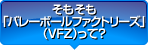 そもそも「バレーボールファクトリーズ(VFZ)って？」